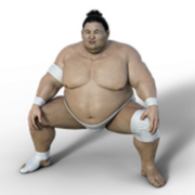 Great American Sumo Wrestler