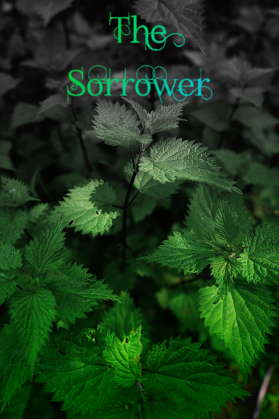 The Sorrower