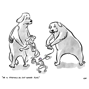 Day Three, Sit, Human!