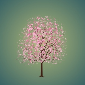 Spring Blossom Teaser
