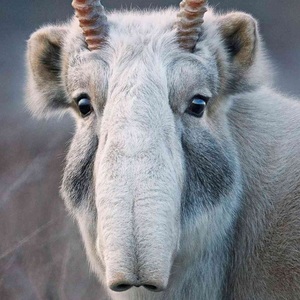 &Auml;&Auml;&Auml;&Auml;&Auml;&Auml;&Auml;&Auml;&Auml;