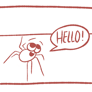 Spider