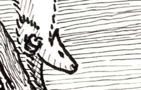 custom banner