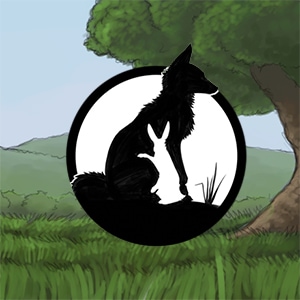 A Message From The Author