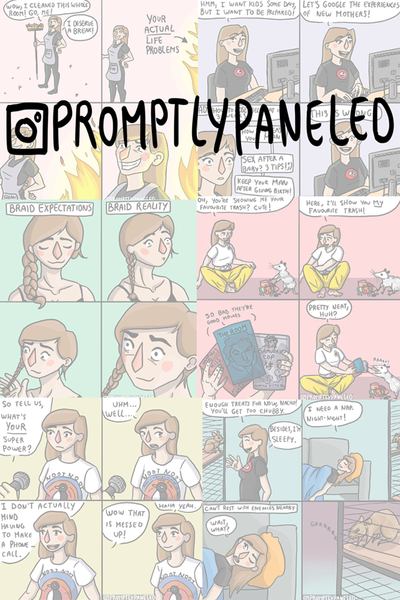 PromptlyPaneled