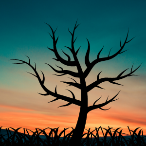 The Crippled Heart - Opening