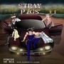 STRAY PIGS (PT/BR)