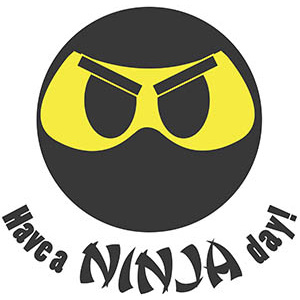 Enter the Ninja - Part 1