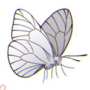 1. White butterfly