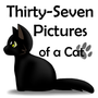 Thirty-Seven Pictures of a Cat