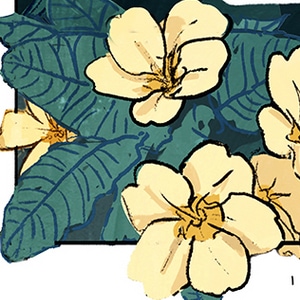 Flowers, part 1