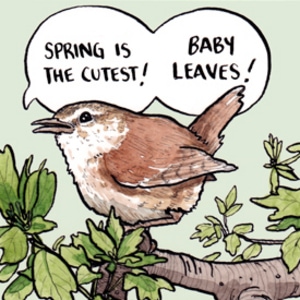 Mother Wren