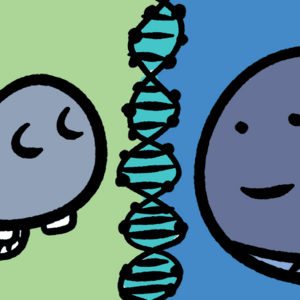 Science reveals the story of the hippo and the whale