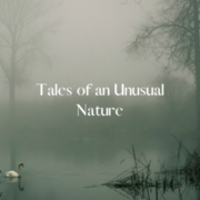 Tales of an Unusual Nature