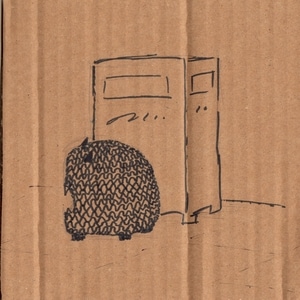 7.Scanning the horizon...