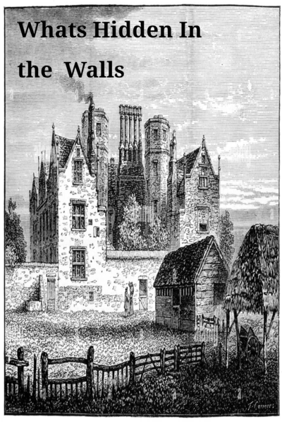 Whats Hidden In the Walls 