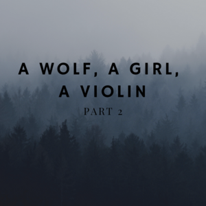 A wolf, a girl, a violin - part 2