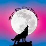 Where The Wolf Wonders