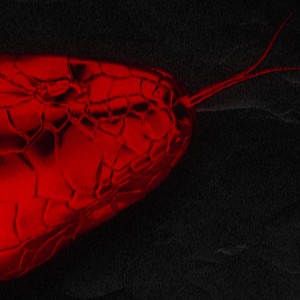 Chapter 5 (part 2/2)