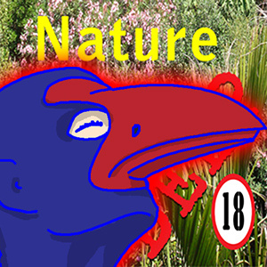 Nature DEEP Episode 3