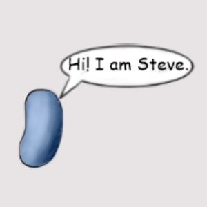Meet Steve