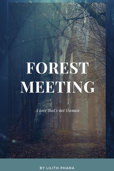 Forest Meeting 