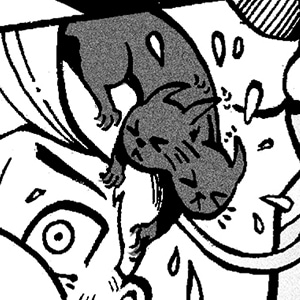 Seltzmann pages 29-30