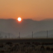 Woolly's Short Stories