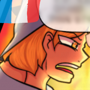 Chapitre 1 - page 13