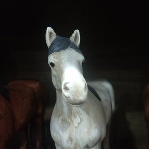 sirius the stylish horse 1