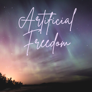 14 || Artificial Freedom