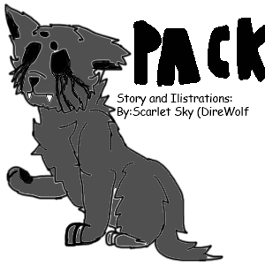 Pack ch.1