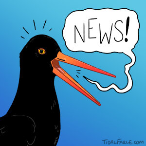 Tapas News