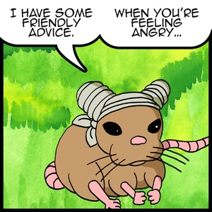 The Advice