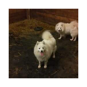 Sleep'in Life -People