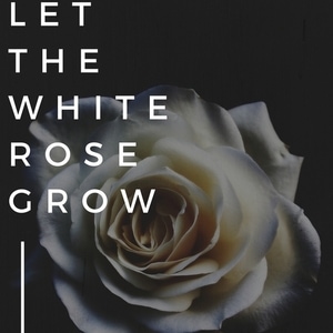 Let the white rose grow