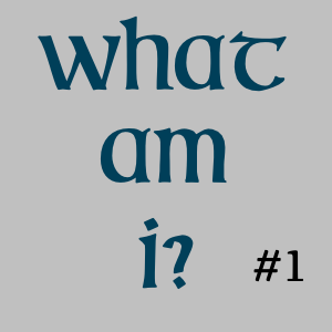 What Am I? #1