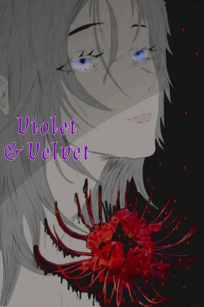 Violet&Velvet