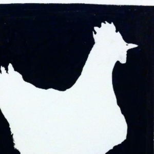 Chicken sketch