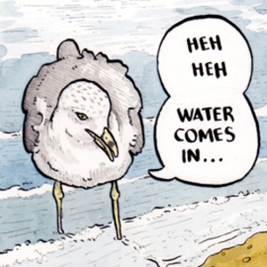 Keep up the good work, seagull