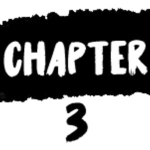 Chapter 3