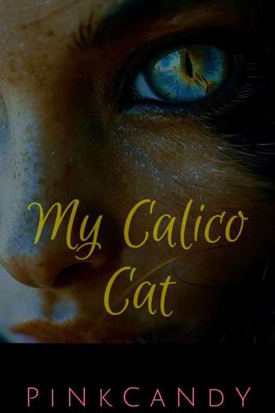 My Calico Cat
