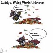 Weird World Universe: For the birds