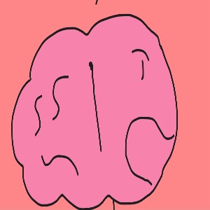  Brain pt.1