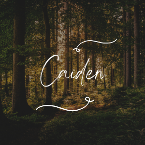 Chapter 1, pt. 3: Caiden