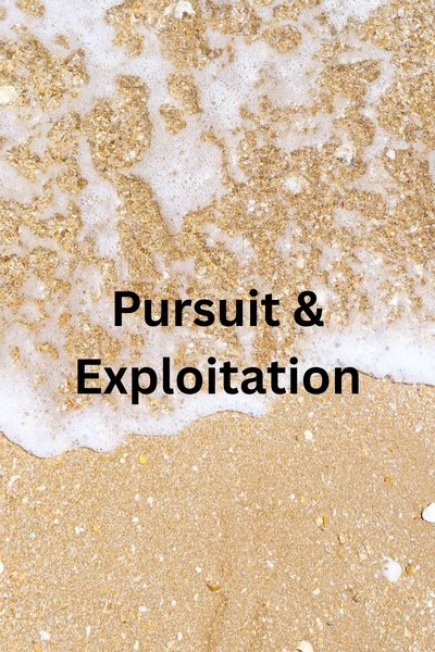 Pursuit & Exploitation