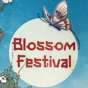 Blossom festival, collab