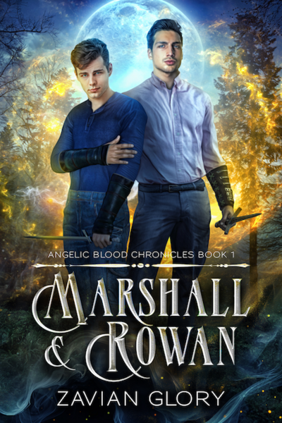 The Angelic Blood Chronicles