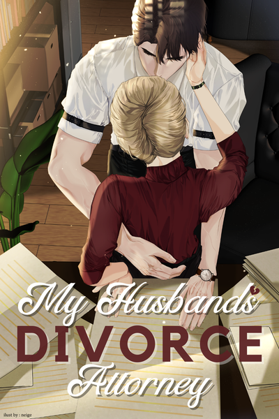 My Husband's Divorce Attorney