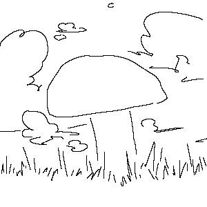 mushroom talk